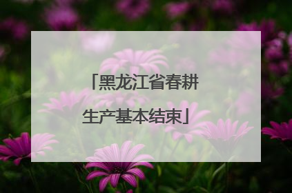 黑龙江省春耕生产基本结束