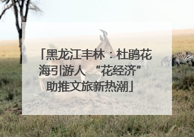 黑龙江丰林：杜鹃花海引游人 “花经济”助推文旅新热潮