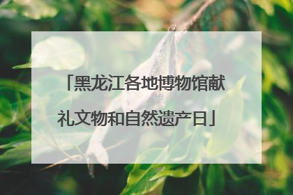 黑龙江各地博物馆献礼文物和自然遗产日