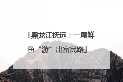 黑龙江抚远：一尾鲜鱼“游”出富民路