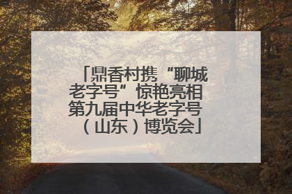 鼎香村携“聊城老字号”惊艳亮相第九届中华老字号（山东）博览会