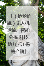 （侨乡新貌）无人机运输、智能分拣 科技助力浙江杨梅产销