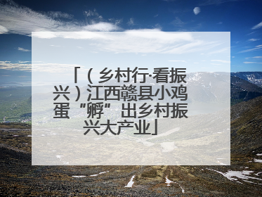 （乡村行·看振兴）江西赣县小鸡蛋“孵”出乡村振兴大产业