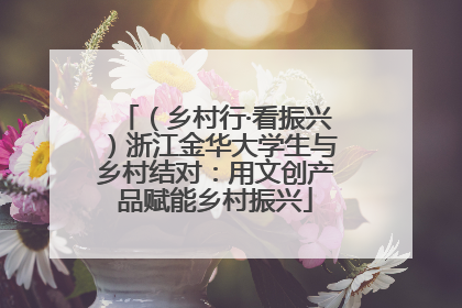 （乡村行·看振兴）浙江金华大学生与乡村结对：用文创产品赋能乡村振兴