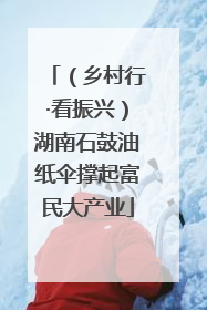（乡村行·看振兴）湖南石鼓油纸伞撑起富民大产业
