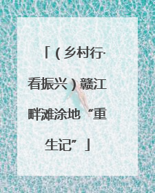 （乡村行·看振兴）赣江畔滩涂地“重生记”