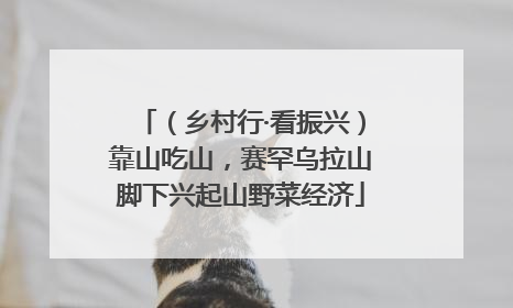 （乡村行·看振兴）靠山吃山，赛罕乌拉山脚下兴起山野菜经济