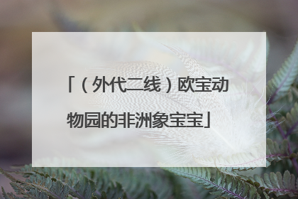 （外代二线）欧宝动物园的非洲象宝宝