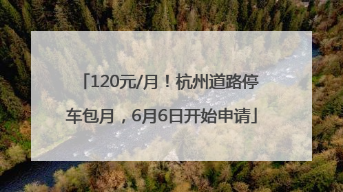 120元/月！杭州道路停车包月，6月6日开始申请