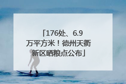 176处、6.9万平方米！德州天衢新区晒粮点公布