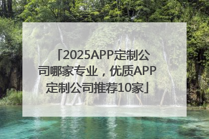 2025APP定制公司哪家专业，优质APP定制公司推荐10家