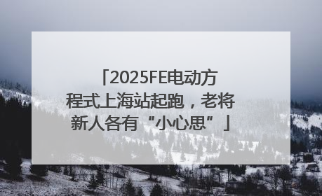 2025FE电动方程式上海站起跑，老将新人各有“小心思”