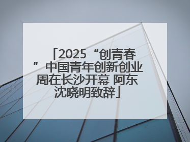 2025“创青春”中国青年创新创业周在长沙开幕 阿东沈晓明致辞