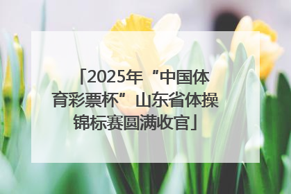 2025年“中国体育彩票杯”山东省体操锦标赛圆满收官