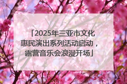 2025年三亚市文化惠民演出系列活动启动，露营音乐会浪漫开场