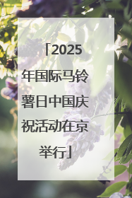 2025年国际马铃薯日中国庆祝活动在京举行