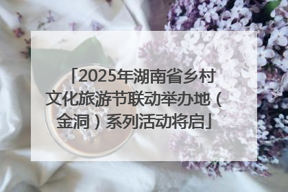 2025年湖南省乡村文化旅游节联动举办地（金洞）系列活动将启