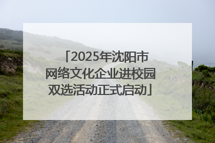 2025年沈阳市网络文化企业进校园双选活动正式启动