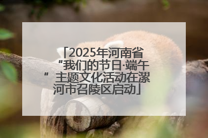 2025年河南省“我们的节日·端午”主题文化活动在漯河市召陵区启动