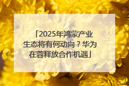 2025年鸿蒙产业生态将有何动向？华为在蓉释放合作机遇