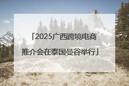 2025广西跨境电商推介会在泰国曼谷举行