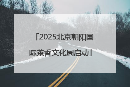 2025北京朝阳国际茶香文化周启动
