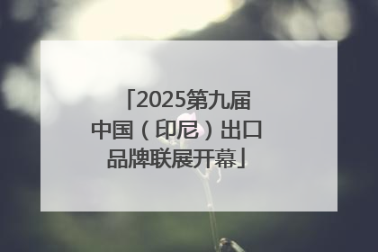2025第九届中国（印尼）出口品牌联展开幕