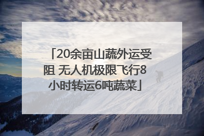 20余亩山蔬外运受阻 无人机极限飞行8小时转运6吨蔬菜