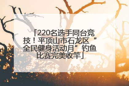 220名选手同台竞技！平顶山市石龙区“全民健身活动月”钓鱼比赛完美收竿