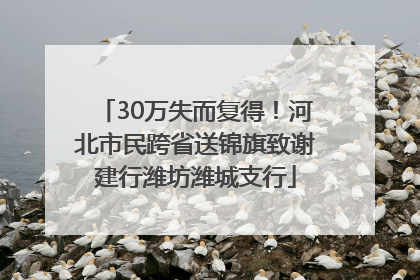 30万失而复得！河北市民跨省送锦旗致谢建行潍坊潍城支行
