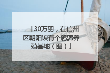 30万羽，在信州区朝阳镇有个鹌鹑养殖基地（图）