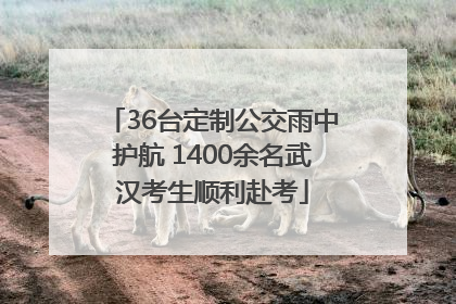 36台定制公交雨中护航 1400余名武汉考生顺利赴考
