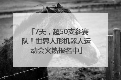 7天，超50支参赛队！世界人形机器人运动会火热报名中