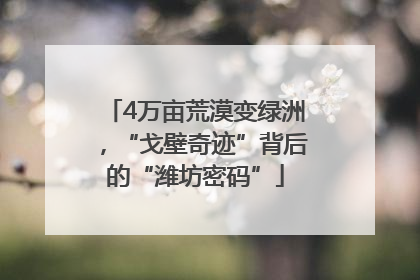 4万亩荒漠变绿洲，“戈壁奇迹”背后的“潍坊密码”
