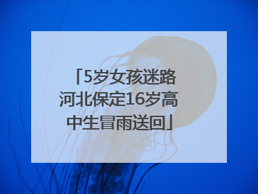 5岁女孩迷路 河北保定16岁高中生冒雨送回
