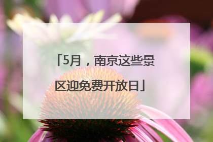 5月，南京这些景区迎免费开放日