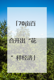 70亩百合开出“花”样经济