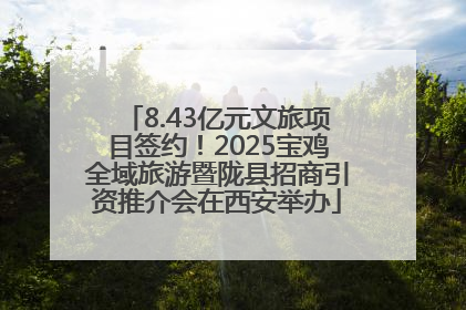 8.43亿元文旅项目签约！2025宝鸡全域旅游暨陇县招商引资推介会在西安举办