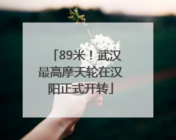 89米！武汉最高摩天轮在汉阳正式开转