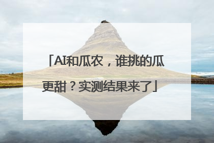 AI和瓜农，谁挑的瓜更甜？实测结果来了