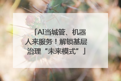 AI当城管、机器人来服务！解锁基层治理“未来模式”