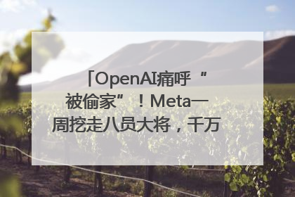 OpenAI痛呼“被偷家”！Meta一周挖走八员大将，千万美元薪酬战开打