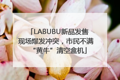 LABUBU新品发售现场爆发冲突，市民不满“黄牛”清空盒机