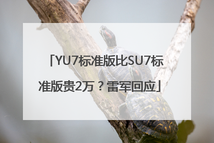 YU7标准版比SU7标准版贵2万？雷军回应